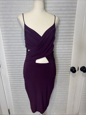 Windsor Deep Plum Cutout Midi Dress RG